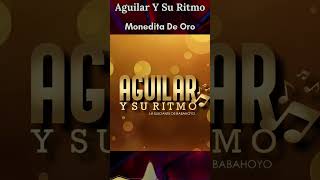 Aguilar y Su Ritmo  Monedita De Oro Remix Dj Fernando [upl. by Fox]