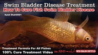 How to cure floating bloated fish swim bladder goldfish How to cure swim bladder disease [upl. by Thetos213]