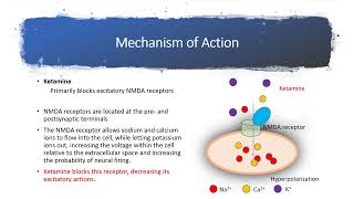 How Ketamine Works  Mechanisms of Ketamine  General Anesthesis [upl. by Jacques]