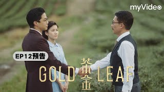 《茶金》EP12 預告 ｜myVideo台劇線上看 [upl. by Lewse564]