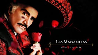 Las Mañanitas  Vicente Fernandez [upl. by Syned581]