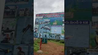 Exploring asia largest lake kolleru near eluru [upl. by Ahsinotna]