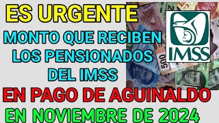 Excelente noticia Esta es la cantidad que recibirán los pensionados del IMSS como aguinaldo en [upl. by Cilegna]