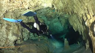 Dreamgate Cenote  One of the Most Beautiful Cavern Dives in Tulum Mexico [upl. by Maidie]