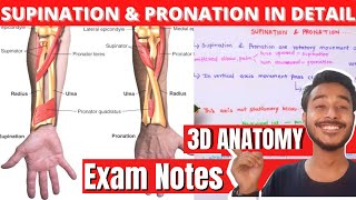 Supination and pronation of hand Anatomy [upl. by Daugherty]