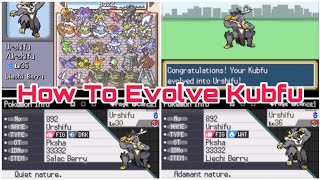 How To Evolve Kubfu To Single Strike Urshifu and Rapid Strike Urshifu  Pokemon Radical Red v22a [upl. by Nevag]