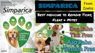 quotSIMPARICAquot Best Medicine to Remove Ticks amp Fleas from Dog [upl. by Soni]