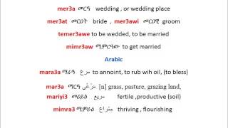 Tigrigna Arabic cognates  trilateral root m r 3 [upl. by Jorgensen]