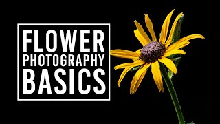 Flower Photography Tips for Beginners amp Macro Photography Ideas [upl. by Cagle]