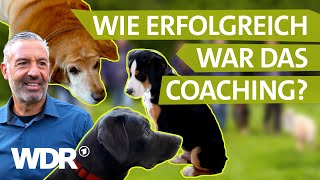 Das Wiedersehen So haben sich Mensch amp Hund entwickelt  Hunde verstehen  S04E05  WDR [upl. by Dino]