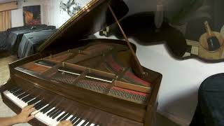 CHICKERING amp SONS 14 grand piano [upl. by Ahsuas]