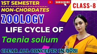 🎯1st Semester Core1ZOOLOGY NONCHORDATESLIFE CYCLE OF Taenia solium ByPratikshya Mishra [upl. by Esinad]