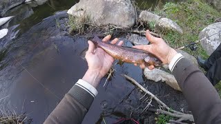 Pesca alla trota sarda 35cm SalmoCettii Ritorno sul quotfiume dei gigantiquot APERTURA TROTA 2023 [upl. by Klusek]