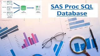 sas proc sql database [upl. by Llenram]