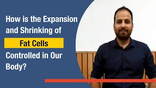 How is the Expansion and Shrinking of Fat Cells Controlled in Our Body [upl. by Aihsetal792]