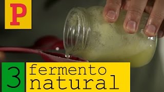 Como fazer fermento natural  Vídeo 3 [upl. by Noreg994]