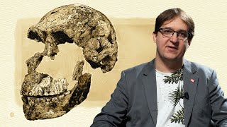 Homo naledi Czy hominid o małym mózgu mógł grzebać zmarłych [upl. by Noiraa]