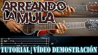 Arreando la mula  Banda R15  Vídeo Demostración  Tutorial  Cover [upl. by Ariamo877]