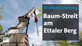 Ettaler Berg Baumfällaktion wegen Straßensicherung  Abendschau  BR24 [upl. by Eitsyrhc48]