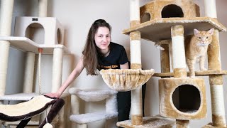 How to Rewrap cat tree poles using only staple and sisal ropes [upl. by Ulrich860]