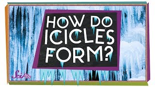 Where Do Icicles Come From  Winter Science  SciShow Kids [upl. by Annay544]