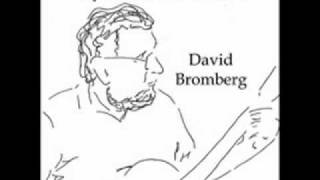 David Bromberg  Lonesome Roving Wolves [upl. by Brandi]