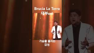 Brucia La Terra 대부ost KIMHOJOONG TVAROTTI shorts [upl. by Akemit]