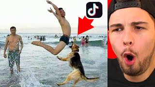 die LUSTIGSTEN TIK TOK FAILS des Jahres 😂🔥 [upl. by Iny]