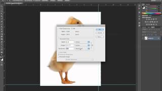 Photoshop CS6 Image Resize Resolution and Guides [upl. by Nyrahs884]