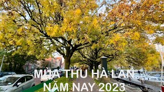 Mùa Thu 2023 tại Hà Lan [upl. by Eidok]