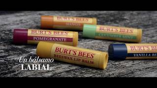 Burts Bees  Bálsamos labiales [upl. by Merete]