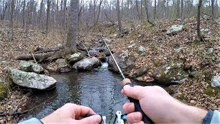 Native BROOK TROUT Fishing in TINY Mountain Stream [upl. by Lantha]