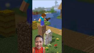 steve hited iron golem from above minecraft minecraftgameplay shorts games [upl. by Juliette574]