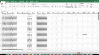 Downloading Qualtrics Data in Excel [upl. by Christos773]