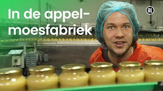 Hoe wordt appelmoes gemaakt  Doen Ze Dat Zo [upl. by Liahus]