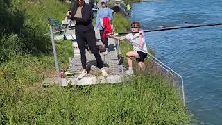 Sockeye salmon fishing on Alaskas Kenai River [upl. by Scutt31]