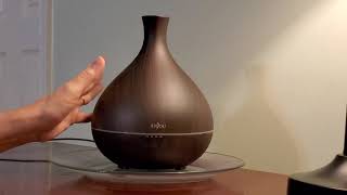 Product Review Anjou Diffuser [upl. by Say]