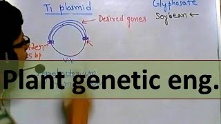 Genetic engineering in plants [upl. by Barbour256]