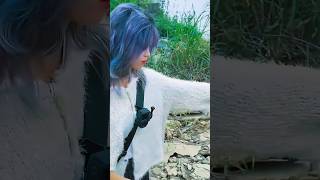 Ném phát ăn luôn ạ 😝 fishing cauca câucá caucasuoi shorts youtube cuocsong [upl. by Benjy]