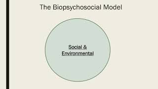 The Biopsychosocial Model [upl. by Ajnin]