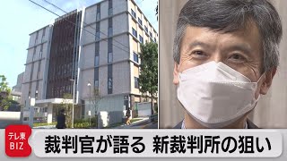 現役裁判官に聞く 新たな裁判所「ビジネス・コート」の狙いとは？（2022年10月11日） [upl. by Tuppeny860]