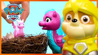 PAW Rescue Knights Save Baby Dragons amp More 🏰  PAW Patrol Compilation  Toy Pretend Play for Kids [upl. by Stan]