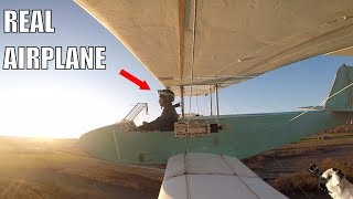 HomeMade Electric Airplane [upl. by Aihsetel]