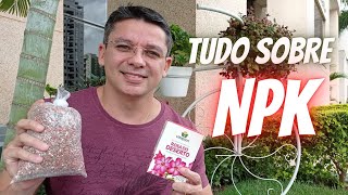 COMO UTILIZAR NPK NAS PLANTAS  ENTENDA OS BENEFÍCIOS E OS RISCOS [upl. by Eibob]