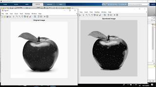 How to quantize an image from 256 levels to 4 levels in Matlab  8 bit image in 2 bit image [upl. by Aekim]