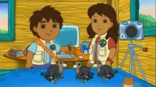 Go Diego Go  1x06  Three Little Condors Best Moment Plus [upl. by Zoller748]