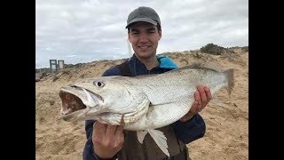 Mulloway Surf Fishing  Salt Creek [upl. by Charlie252]