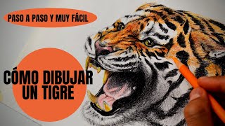 Cómo Dibujar Un Tigre realista Paso a Paso [upl. by Nazarius905]