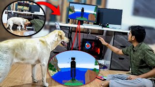 dog plays MINECRAFT [upl. by Aivato]