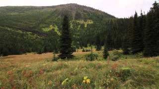 Blakiston Falls amp Snowshoe Trail  Waterton Lakes National Park [upl. by Anahpets]